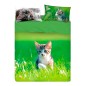 Double Bed Size sheet set CAT LIFE Bassetti