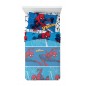 Ensemble de draps simples en pur coton SPIDERMAN Marvel