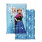 FROZEN Disney Copriletto Trapuntato mezza stagione Singolo