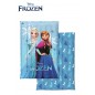 FROZEN Disney Copriletto Trapuntato mezza stagione Singolo